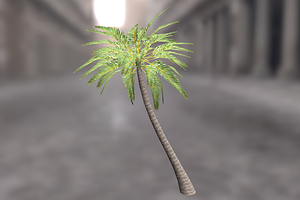 Palm_Tree