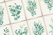 Floral Watercolor Design Big Pack, an Object Graphic by Motion-Box (Thumbnail 12 of 17)