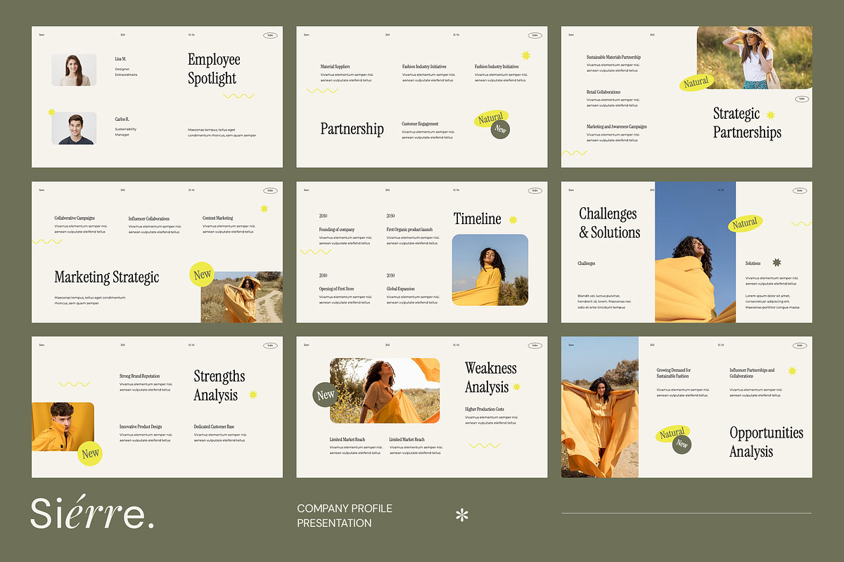 Sierre - Company Profile Powerpoint preview 4