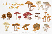 Poisonous mushrooms clipart, an Education Illustration by Yelloo Fish (Thumbnail 4 of 10)