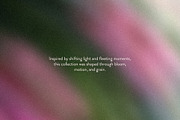 Etudes in Bloom - Blurry Backgrounds, a Background Graphic by Dina Mae (Thumbnail 5 of 13)