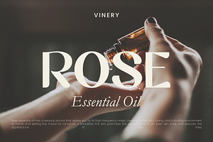 Vinery - Elegant Typeface