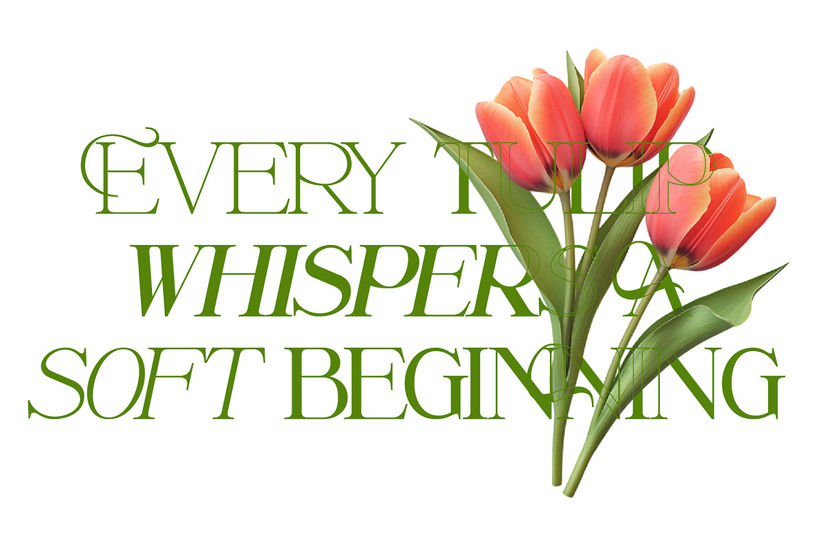 Renabyl - Serif Family Font, a Serif Font by Rishsketch (Photo 3 of 15)