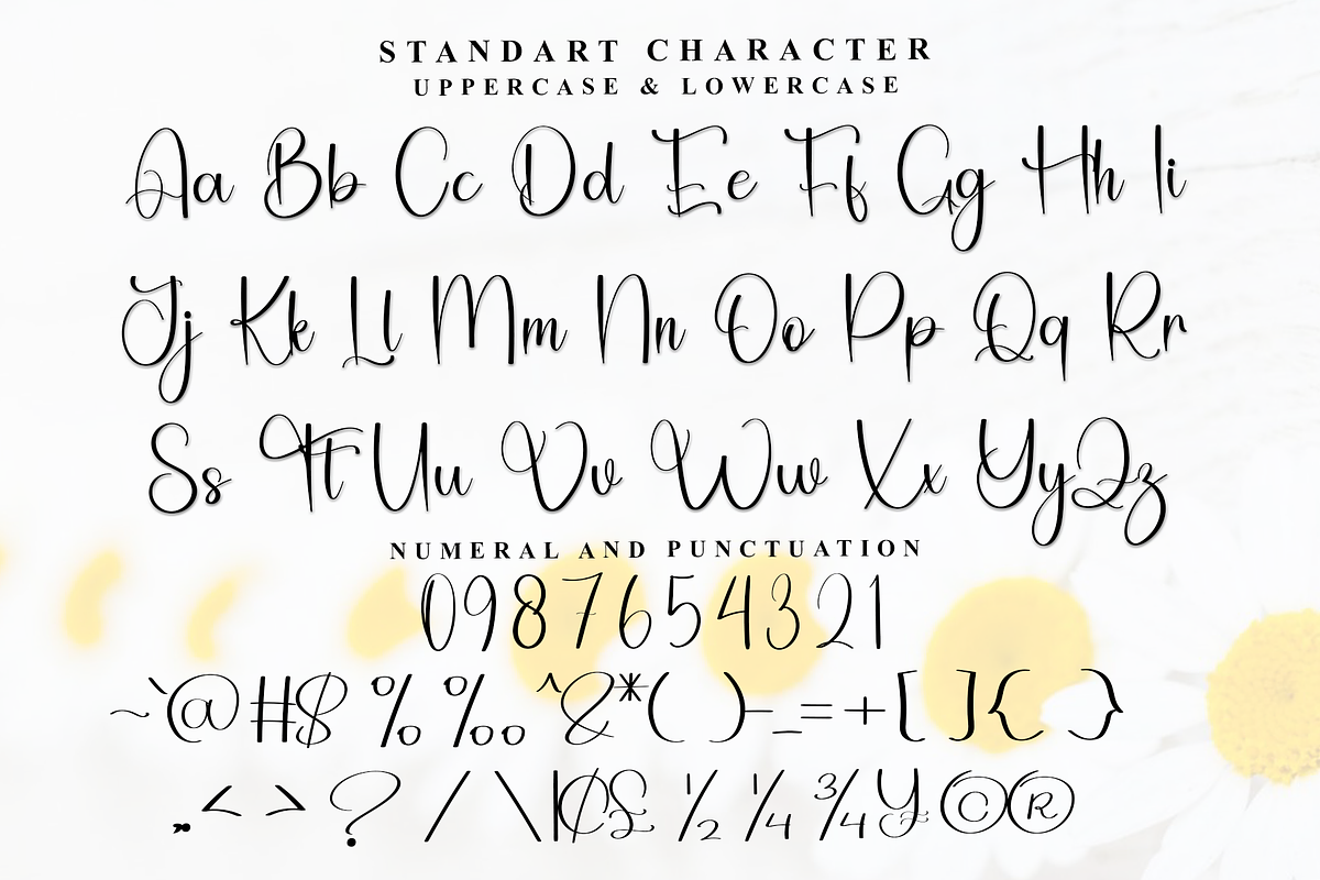 Angelina Signature, a Handwritten Font by FreshTypeINK (Photo 8 of 8)
