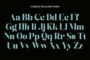 The Casfia - Elegant Serif Typeface, a Serif Font by Rotterlab Studio (Thumbnail 15 of 15)