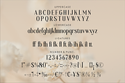 Blafhy Glibs A Modern Serif Font, a Serif Font by Storytype Studio (Thumbnail 12 of 15)
