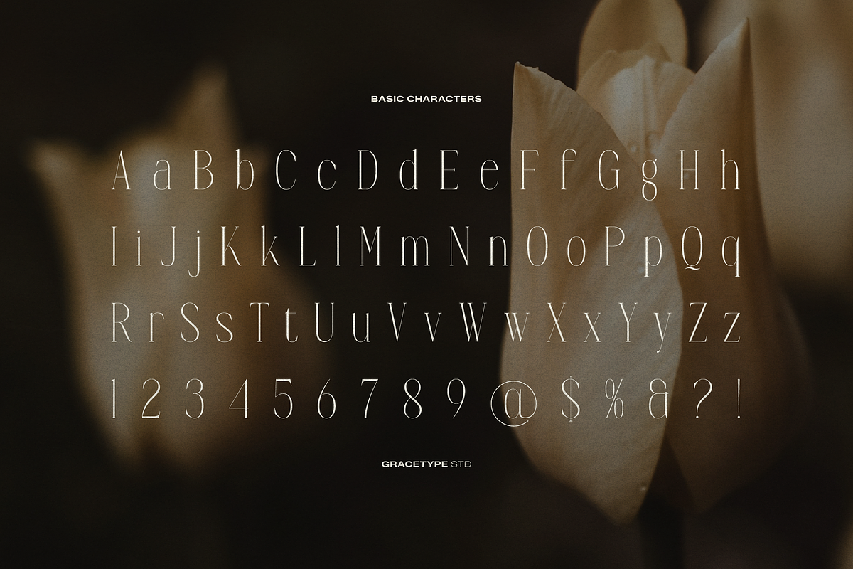 Anora Carmeo | Display Elegant Serif, a Font by gracetype_studio (Photo 10 of 12)