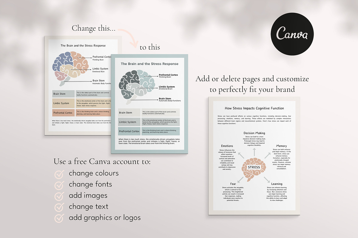 Stress Response Canva Template eBook, a Design Template by Miri Campbell (Photo 3 of 9)