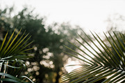 Easter Stock Photo Bundle - 75% OFF!, a Holiday Photo by GetMockups (Thumbnail 7 of 21)