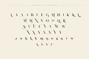 Lostgun Plus | Stylish Typeface, a Serif Font by Qaratype (Thumbnail 16 of 20)