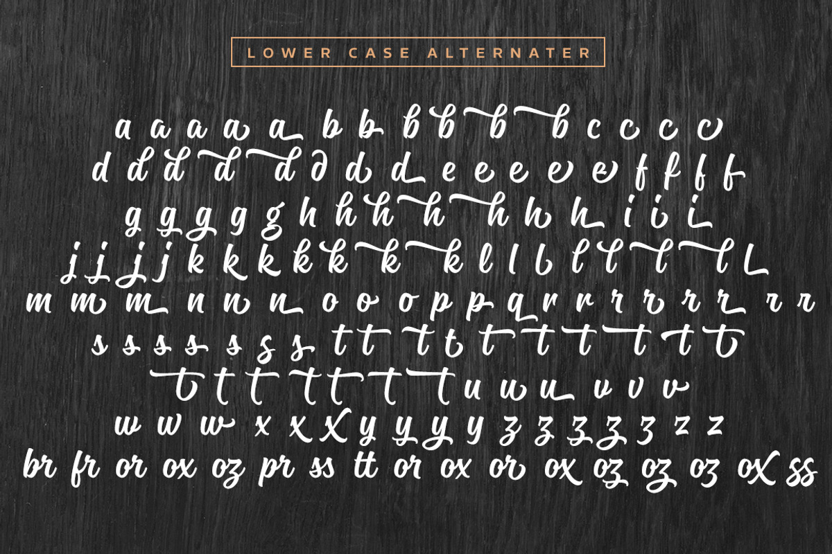 Magneton Light, a Script Font by Mika Melvas (Photo 13 of 13)