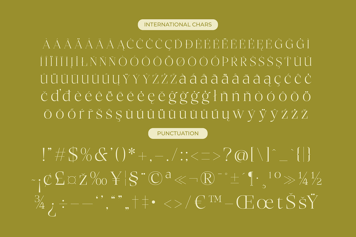 Bigest Karath Thin Serif Display, a Serif Font by timelesstype.co (Photo 18 of 20)