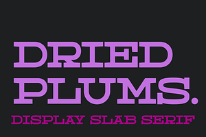 Dried Plums - Display Font