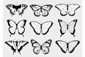 Black And White Butterfly Silhouette