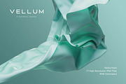 Vellum: 77 Material Textures, a Texture Graphic by RuleByArt (Thumbnail 8 of 14)