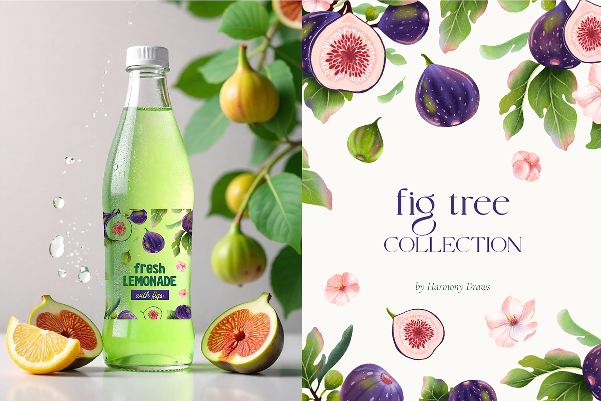Fig tree fruit and leaves clipart, a Food Illustration by Harmony Draws (Photo 4 of 6)