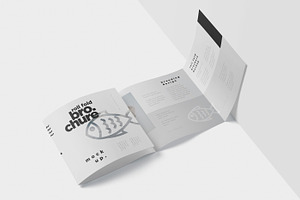 Roll-Fold Brochure Mockup - Square