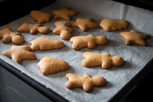 Freshly baked Christmas cookies on baking tray, a Food & Drink Photo by etorres69
