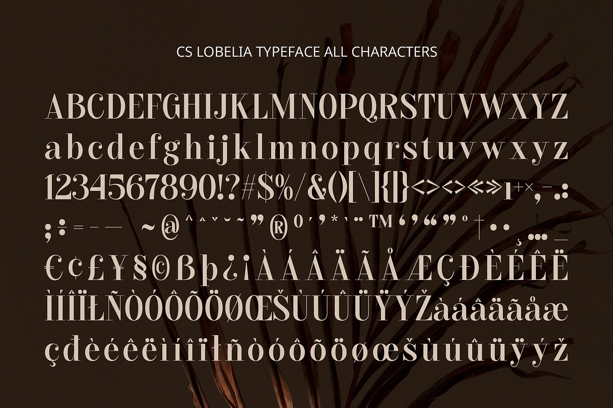 CS Lobelia – Classic Font, a Serif Font by Craft Supply Co. (Photo 8 of 8)