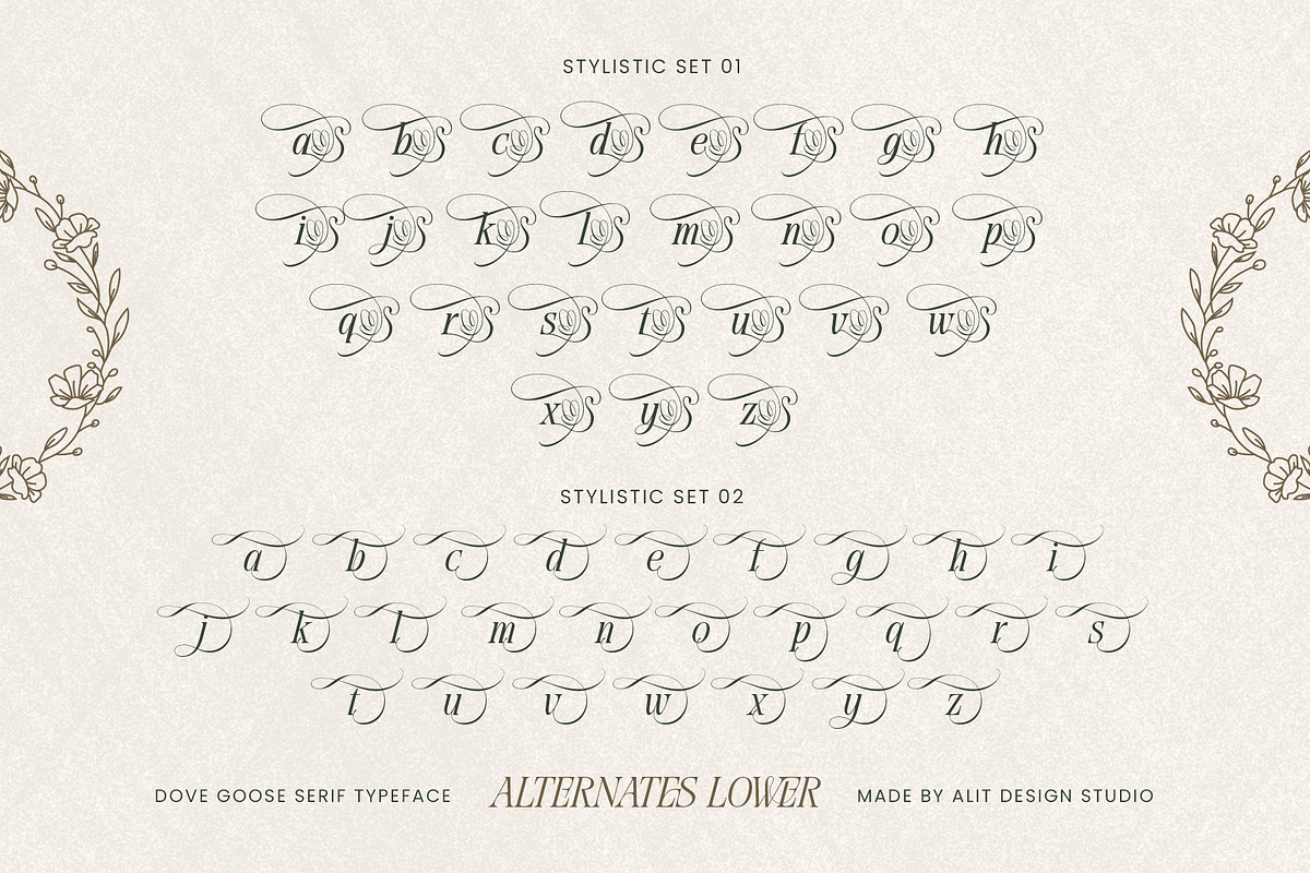 Dove and Goose Typeface, a Serif Font by alit design (Photo 10 of 20)