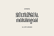 Timothy Robinson, a Serif Font by Cruzine (Thumbnail 8 of 8)