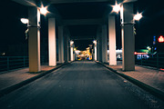 Night Shot Lightroom Preset Pack I, an Action Add-On by Daniel Bartel (Thumbnail 3 of 4)