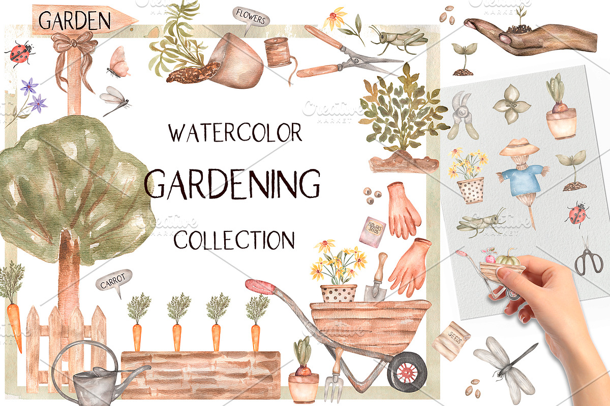 Watercolor Garden Collection, a Work Illustration by MayaNavits (Photo 1 of 13)