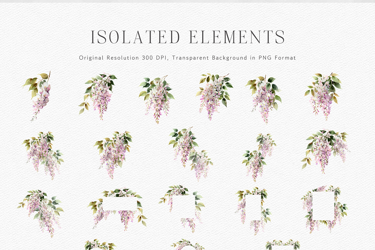 Watercolor Pink Wisteria Clipart, a Decorative Illustration by ThaismotaCreativeCo (Photo 9 of 11)