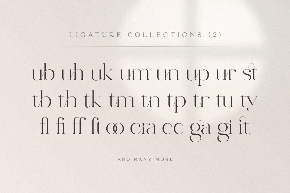 abigail - unique ligature font, a Serif Font by Sensatype (Photo 6 of 32)