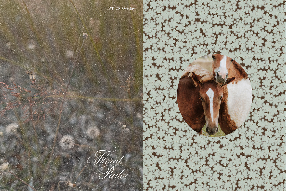 Vintage Floral Frames & Overlays, an Object Graphic by alonahaidash (Photo 3 of 19)
