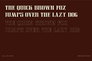 READSTER - Vintage Serif Font, a Handwritten Font by Rightwheels (Thumbnail 2 of 9)