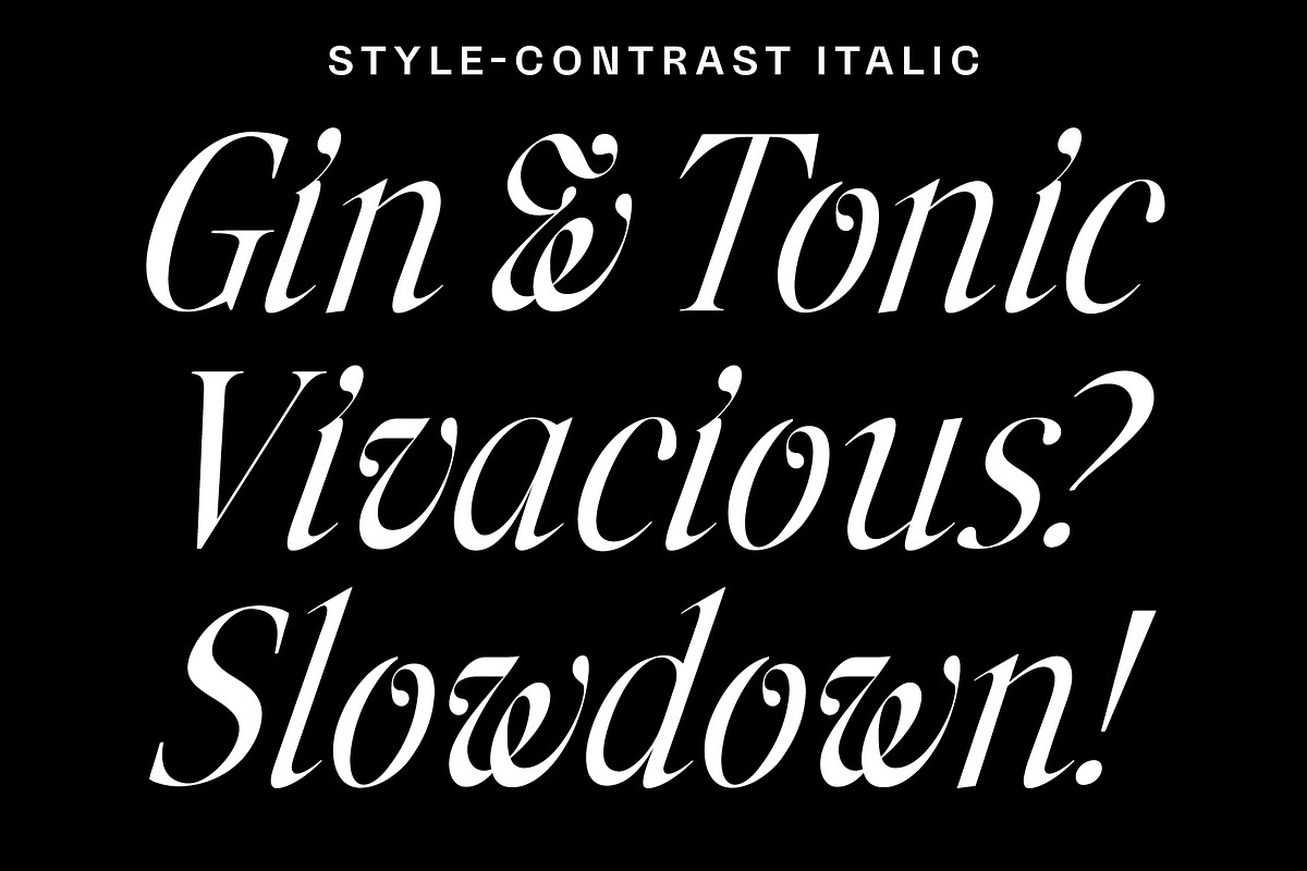 Stylebender Serif - Multi-style Font, a Serif Font by Tropical Type (Photo 3 of 17)