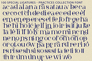 Practices Collection - Elegant Font, a Serif Font by 177Studio (Thumbnail 8 of 8)