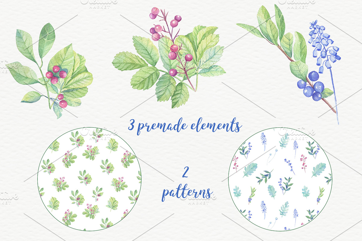 Watercolor leaves, berries, flowers, an Object Graphic by Irina Diasli (Photo 6 of 6)