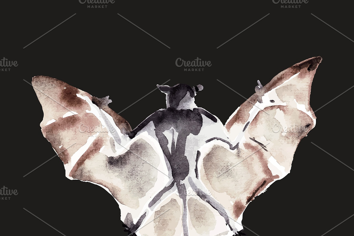 Vampire bats, watercolor/ink/vector, an Animal Illustration by Watercolor_Vector Graphic (Photo 14 of 22)