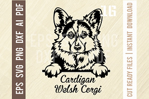 Cardigan Welsh Corgi Peeking Dog