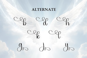 Angel Script Font