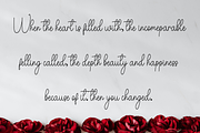 Daniel Signature, a Handwritten Font by FreshTypeINK (Thumbnail 3 of 8)