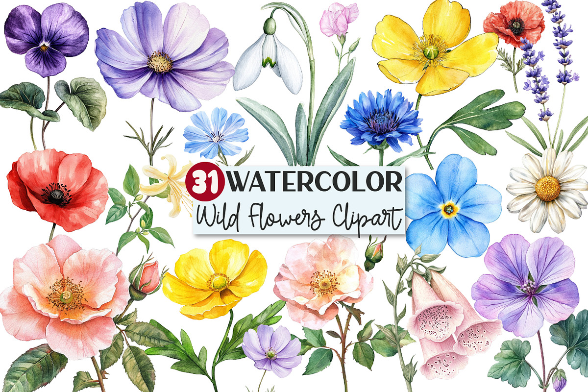 Charming Wild Flowers Watercolor Cli, an Illustration by Rose Art (Photo 1 of 7)