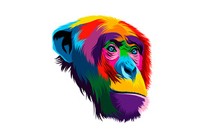 Abstract monkey chimpanzee