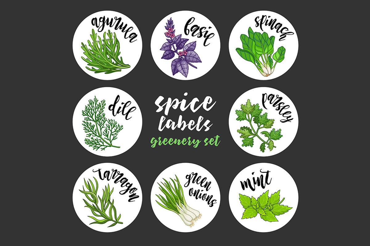 Spices and herbs labels set, a Decorative Illustration by Primula`s shop (Photo 5 of 12)
