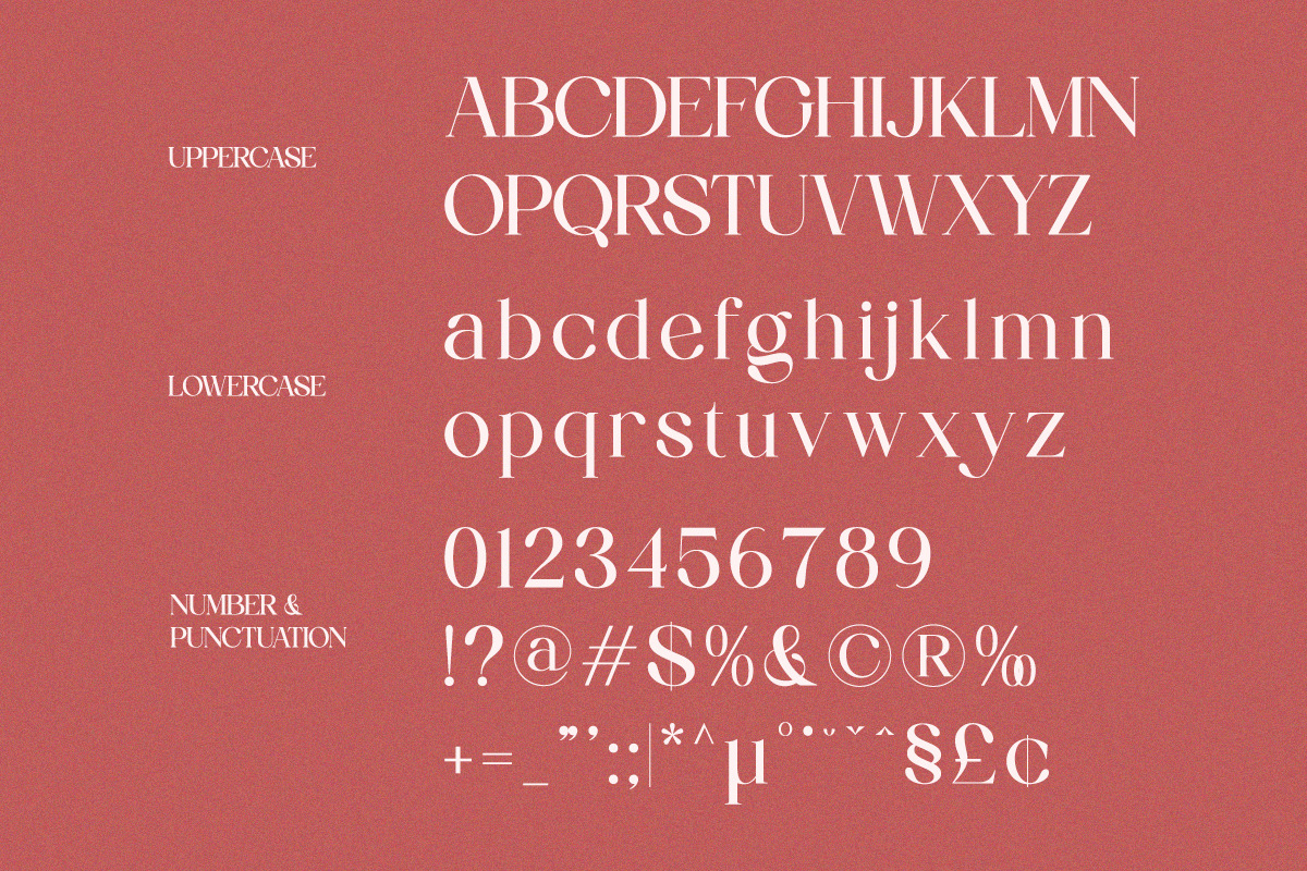 Valencie - Modern Elegant Serif, a Serif Font by Qweera Studio (Photo 11 of 12)