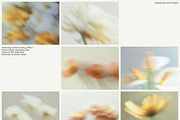FLORET Blur Flower Backgrounds, a Background Graphic by Aesthetic Eye (Thumbnail 9 of 19)