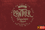 PANTHER - Vector illustration, an Animal Illustration by Artistic & Unique (Thumbnail 4 of 9)