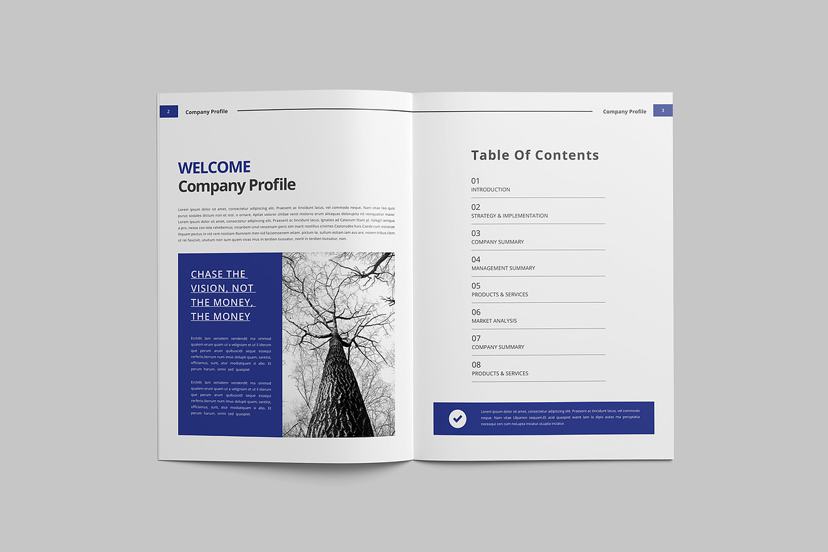 Company profile Template, a Brochure Template by Tanber Hossen (Photo 14 of 14)