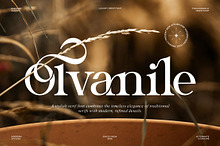 Olvanile || Modern Classy Serif Font