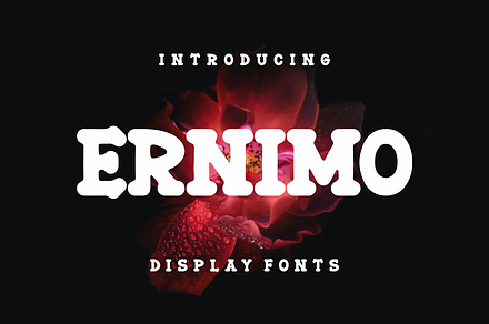 Ernimo, a Serif Font by lelevien