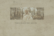 Polka Dot & Crumpled Paper, a Texture Graphic by Anzhelika (Thumbnail 3 of 9)
