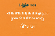Canastra - Retro Serif, a Serif Font by Ivan Rosenberg (Thumbnail 22 of 23)