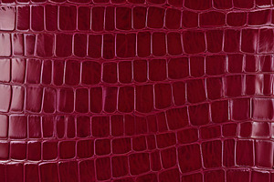 Rich burgundy crocodile leather text, a Photo by Kzara Visual Concepts